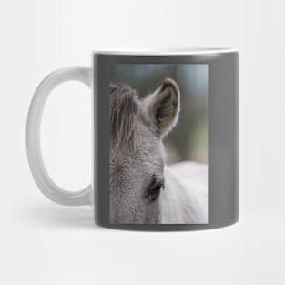 Konik horse portrait Mug